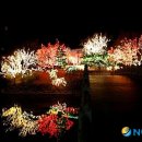 두류공원관리사무소 이미지