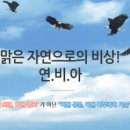 다움코스메틱