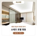 소테츠호텔즈 더스프라지르 서울명동 | 명동 소테츠 호텔 상세안내 및 후기