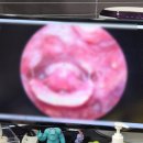 으뜸온누리약국 이미지