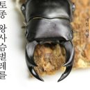 충우농장 이미지