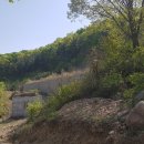 수원-1594 이미지