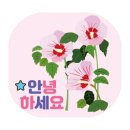 동탄중앙이음터도서관 이미지