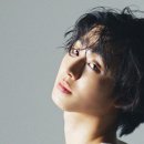별집 Daum카페