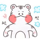 제이블리(J vely) 이미지