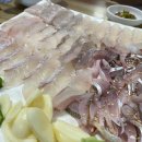 동해-단속-50 이미지