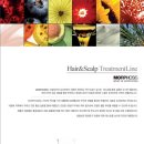 에클레시아 이미지