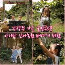 안나농원 이미지