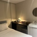 브라운도트 이미지