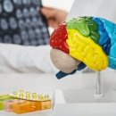 부산진구치매안심센터 이미지