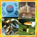 아차산역-10 이미지