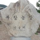 부창농장 이미지