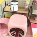 강아지집 미용실 이미지