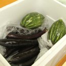 푸른촌 이미지