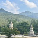 남원 실상사 | 전북 남원 가볼만한곳 지리산 실상사 절 풍경