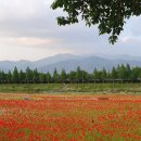 광의사거리 이미지