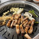 메밀꽃돼지 이미지