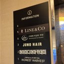 라인앤코한의원 이미지