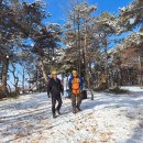 죽화초등학교 이미지