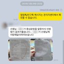 다보담신문교육