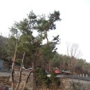 은평-009 | 26. 서울 은평 삼천사 - 용출봉아래 마애석불의 미소
