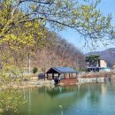 삼기 이미지
