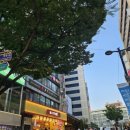 서울명동 다이닝원 이미지