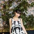 김채원 카카오 검색결과