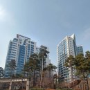 대림세탁소 | [서울 성동구 성수동③] 뚝도청춘시장·대림창고·성수전략정비구역