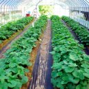 산마을 펜션 이미지