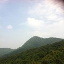 20120825 심천 양태산[羊台山] 산행사진 이미지