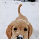 조아 PC방 이미지