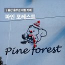 파인 관광농원 이미지
