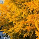 솔학미술학원 이미지