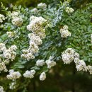 부평꿈나무 교통나라(영성동로18번길 51) 이미지