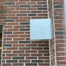 제스티파우더(Zesty powder) 이미지