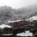 편백흙집세상 이미지