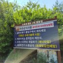 아이와 함께 직접 다녀온 연천 수목원 평화강변 캠핑장 명당자리 &amp; 편의시설 후기 연천 캠핑