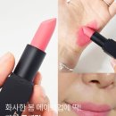 콰티 쿨페탈 립스틱 후기 봄 메이크업에 딱! 신상컬러 조합까지 만족