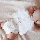 허리샘 바이오 이미지