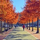 로하스대청공원 이미지