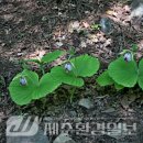 한라전설(주) 이미지