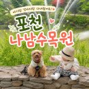 나남수목원(책박물관) | [나남수목원]한적함은 좋지만 아쉬움도 있었던 곳 포천 애견동반