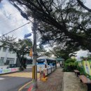 효돈농협주유소 이미지