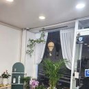 머리하는혜림쌤