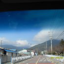 매화나무집 이미지