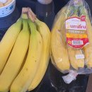 일신당구클럽 이미지