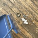 부원농장 | 그땐 기록이었고, 지금은 기억이다