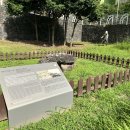 삼양지석묘 1호 이미지