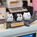 길축산 | 동래 소고기 한우 부산정육점 JC축산 투플러스 육회포장 혼술후기